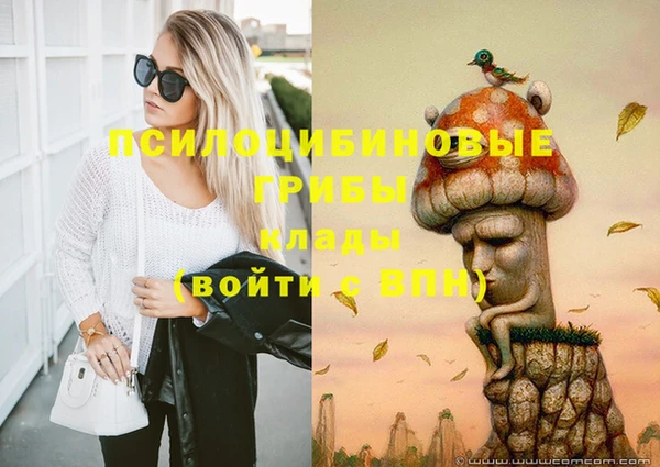 дживик Беломорск